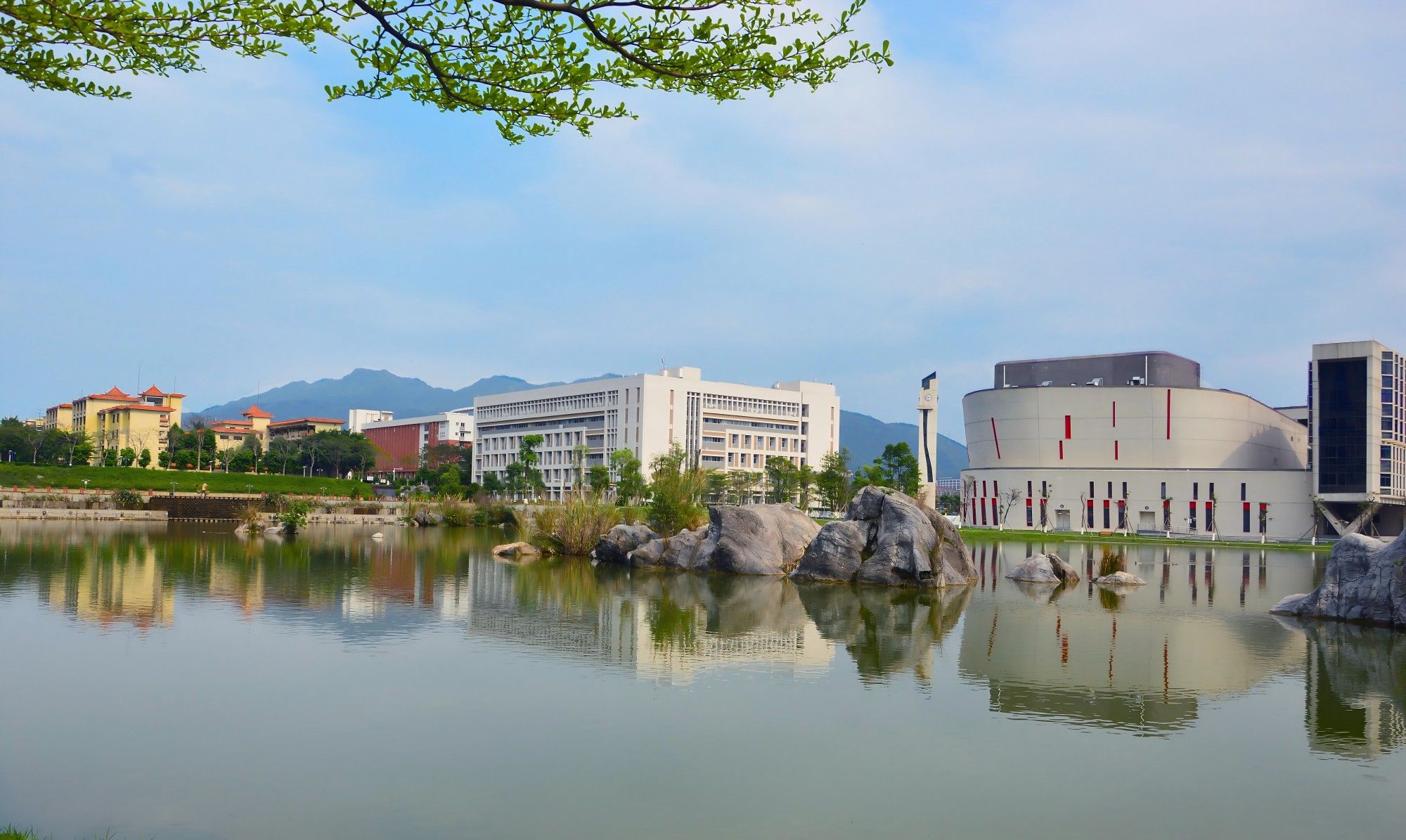 广东省肇庆市端州区肇庆大道55号