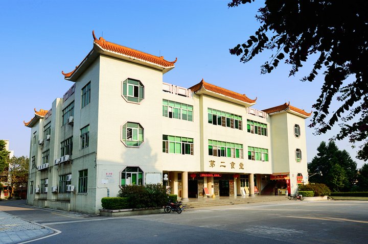 526061